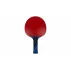 Ovtcharov Platin paleta tenis de masa