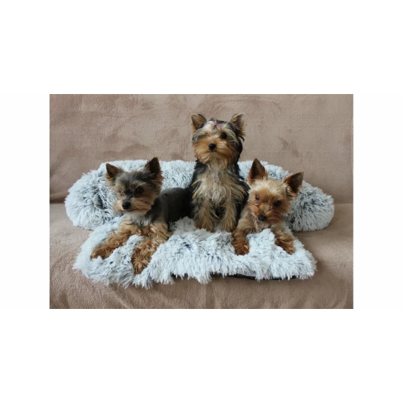 Petsofa pat pentru caini ,gri