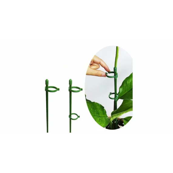 Plant Buckle tije de sustinere a plantelor 10 buc.