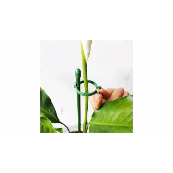 Plant Buckle tije de sustinere a plantelor 10 buc.