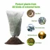 Plant Cover  80x120 protectie pentru plante