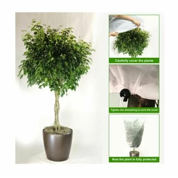 Plant Cover  80x120 protectie pentru plante