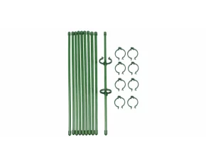 Plant Rod 30 tije de sustinere a plantelor 10 pcs