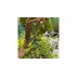 PlantClip 20 cleme de gradina