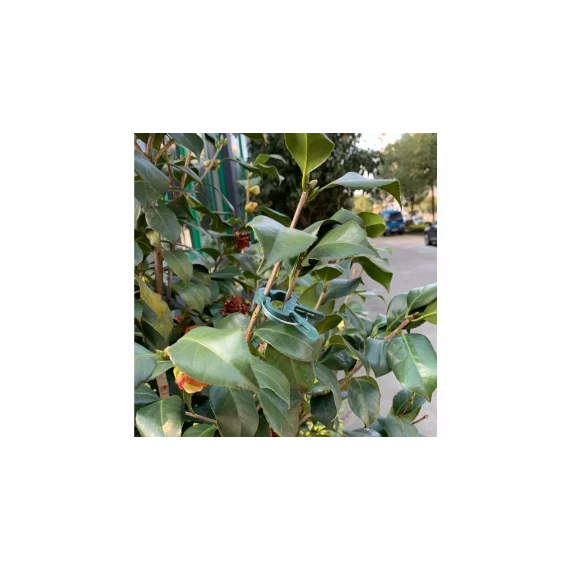 PlantClip 20 cleme de gradina