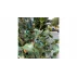 PlantClip 20 cleme de gradina