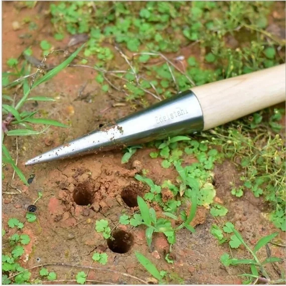 Planter seed puncher plantator de seminte