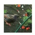 Plasa Anti Bird 4.1 4 x 10 m verde