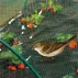Plasa Anti Bird 4.5 4 x 5 m verde