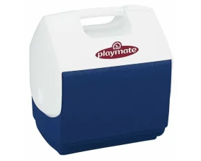 Playmate PAL thermobox, albastru