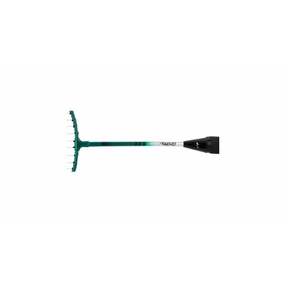 Power Speed set de badminton