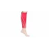 Premium Calf maneci compresive, rosu