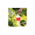 Pulverizator pentru sticle clasice Head