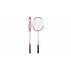 Racheta badminton Classic 10