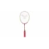 Racheta badminton - junior Advanced