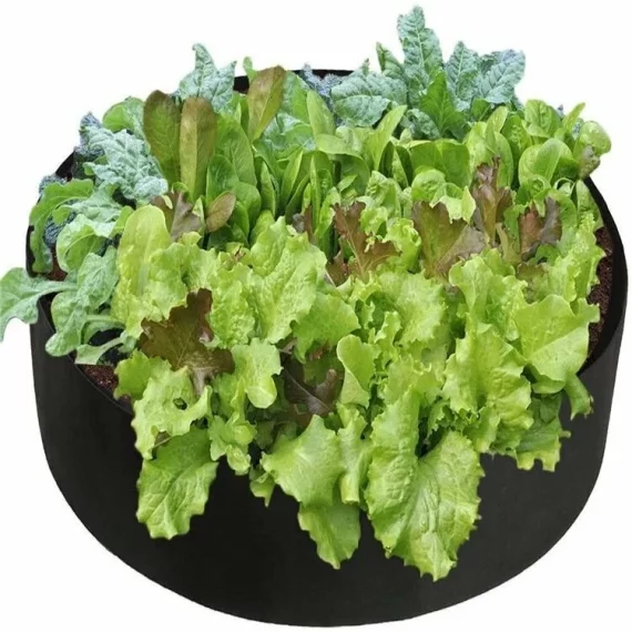Round 90 planting bag green
