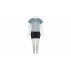 Runner 5W set de fitness pentru femei, albastru inchis