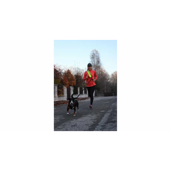 Runner Buddy 1.0 lesa de alergare pentru caini, galbena