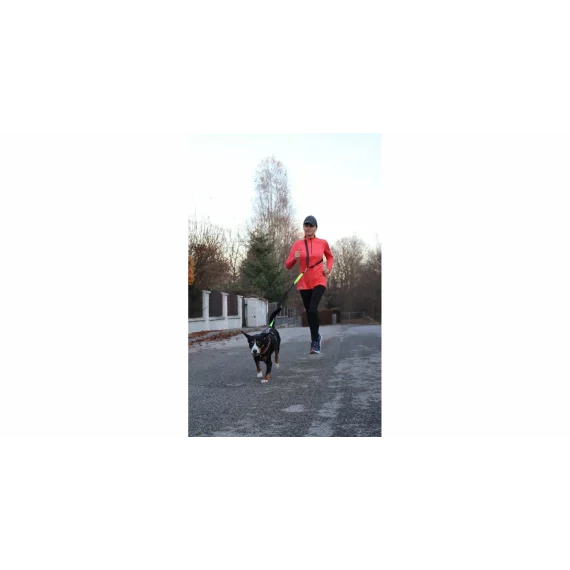 Runner Buddy 2.0 lesa de alergare pentru caini