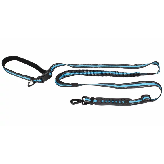 Runner Buddy 4.0 running dog leash blue