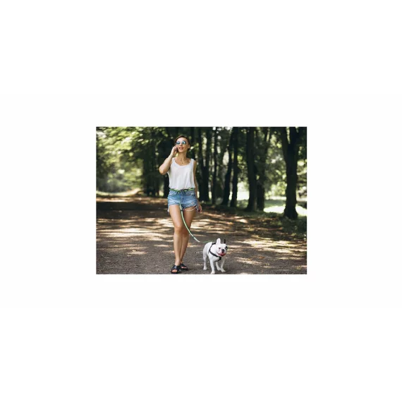 Runner Buddy 4.0 running dog leash blue