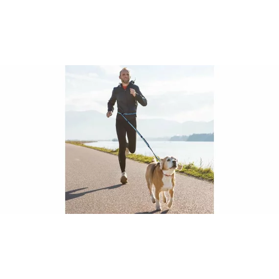Runner Buddy 4.0 running dog leash blue