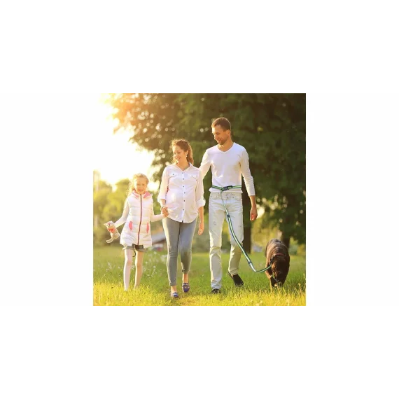 Runner Buddy 4.0 running dog leash green