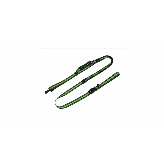 Runner Buddy 4.0 running dog leash green