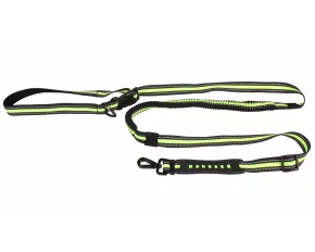 Runner Buddy 4.0 running dog leash green