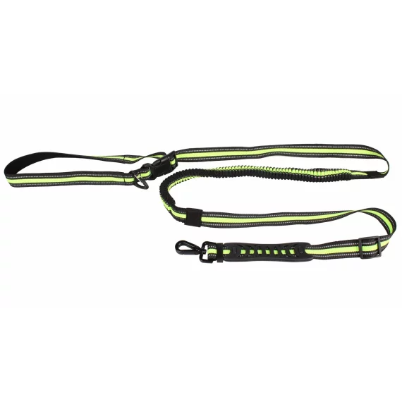 Runner Buddy 4.0 running dog leash green