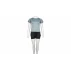 Runner Short 2W set de fitness pentru femei, albastru inchis