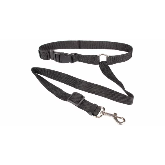 Safer 2.0 centura de siguranta pentru caini