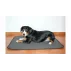 Saltea pentru caine Paddog gri