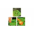 Seeder garden tool sowing template