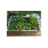 Seeder garden tool sowing template