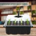 Seedling Pot 12 Light set 5 pcs