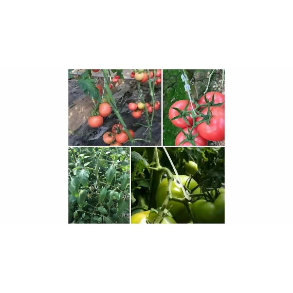 Set 50 carlige pentru fructe si legume Fruit Hooks 13, lungime 13 cm