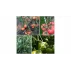 Set 50 carlige pentru fructe si legume Fruit Hooks 13, lungime 13 cm