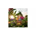 Set 50 decoratiuni pentru ghivecele de flori sau gradina Butterfly