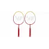Set mini badminton