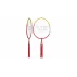 Set mini badminton