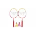 Set mini badminton