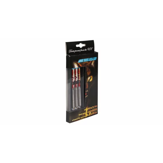 Set sageti darts Steel Dart 20 g
