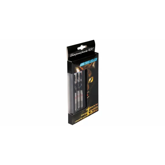 Set sageti darts Steel Dart 24 g
