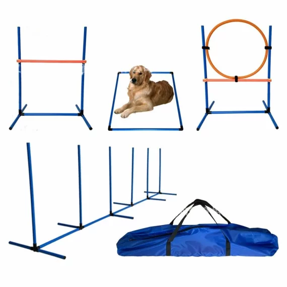 Sistem de antrenament pentru caini, Dog Tutor