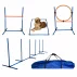 Sistem de antrenament pentru caini, Dog Tutor