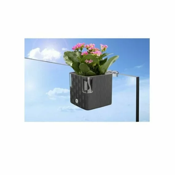 Suport ghiveci de flori Cobble flower transparent