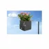 Suport ghiveci de flori Cobble flower transparent