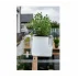 Suport ghiveci de flori Cobble flower transparent
