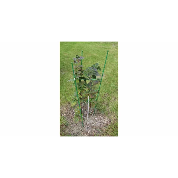 Suport plante cataratoare Climber
